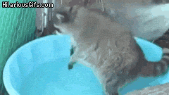 DsbEMMQ.gif