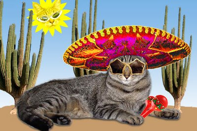 FF-sombrero.jpg