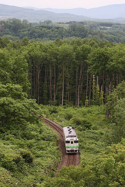 fde225b6e629196dd2d61a10fd9b0df9.jpg