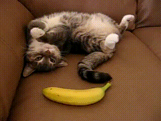 suddenly-banana