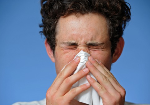 0509_allergies_485x340.jpg