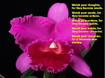 Orchids-1.JPG