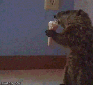 just-a-woodchuck-eating-an-ice-cream-cone