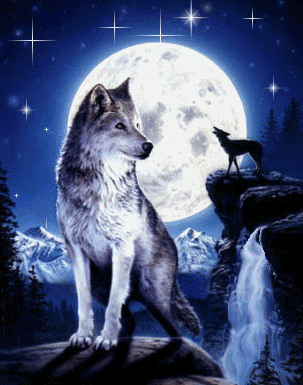 5dcf4b55d4de9457ae962a67541c3526.gif