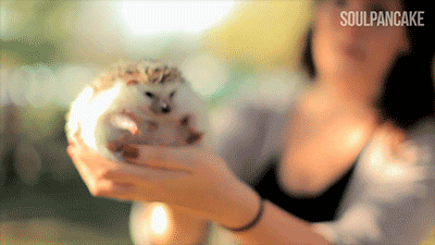 tG66DEc.gif