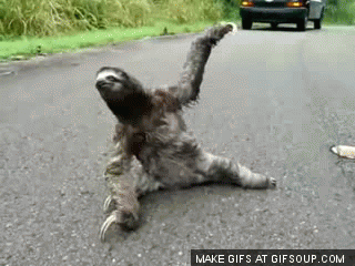 10229560.gif