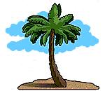 palm.gif