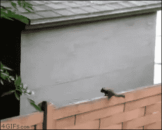 eVkpJaq.gif