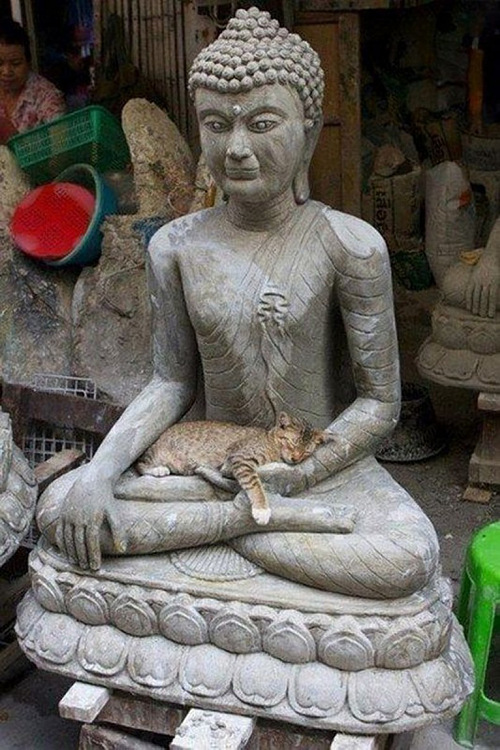 cat-on-statue_3.jpg