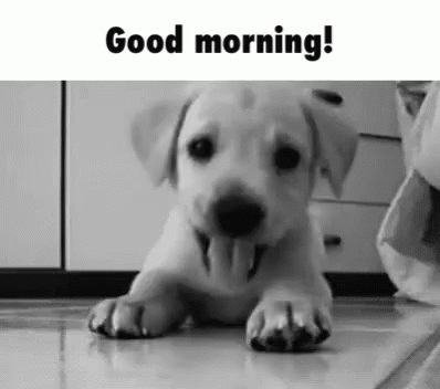 c749a0d2a80c715cbe61839781f853d8.gif