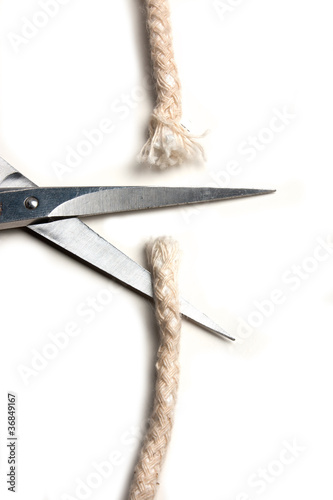 500_F_36849167_2wIZI9lHelBTR9ttYruDMSBvuK7JFvw7.jpg