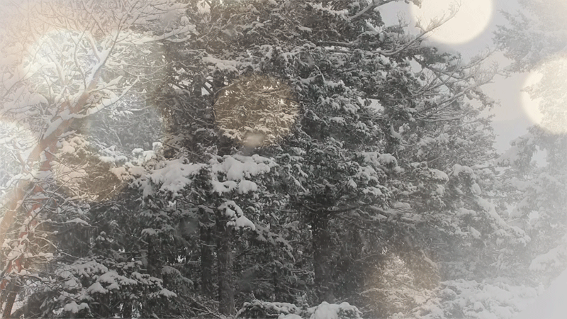 winter.gif