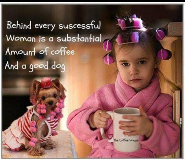 4bb2851f6b5ca3a65bffe6975a16e2dd--successful-women-so-true.jpg