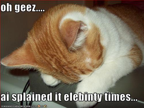 cat268.jpg