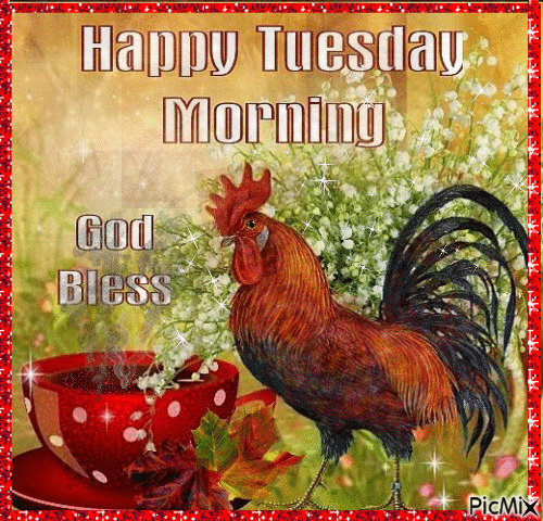 334519-Rooster-Happy-Tuesday-Morning-Gif.gif