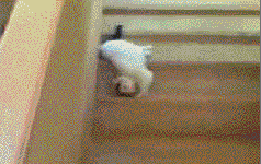 q9b4m.gif
