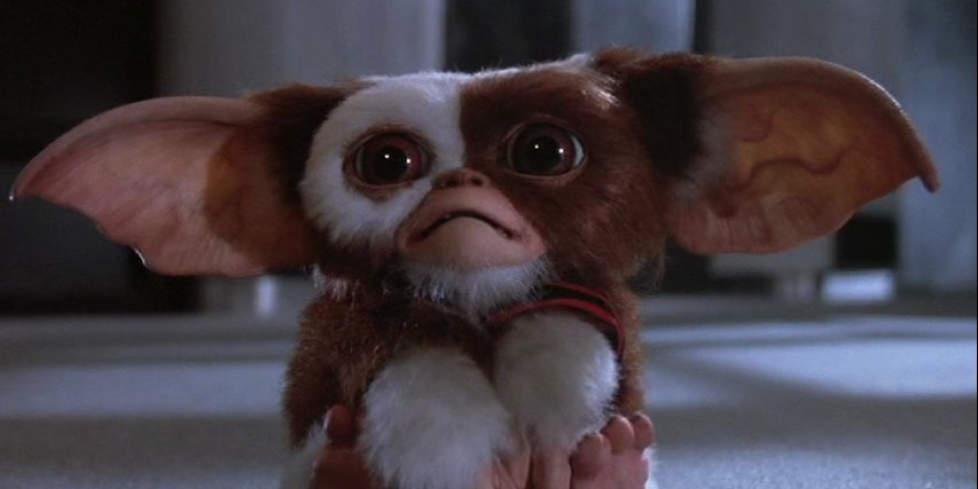 o-GREMLINS-facebook.jpg