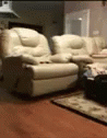 36596ca85ad165a7c1ff51ca4a2534a1.gif