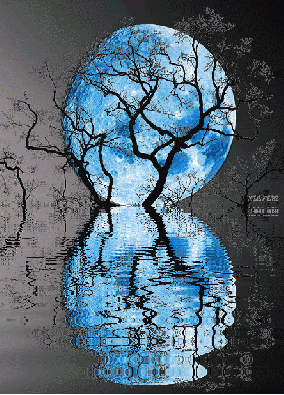 Moon-reflection-on-water.gif