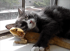 me-an-my-lizard