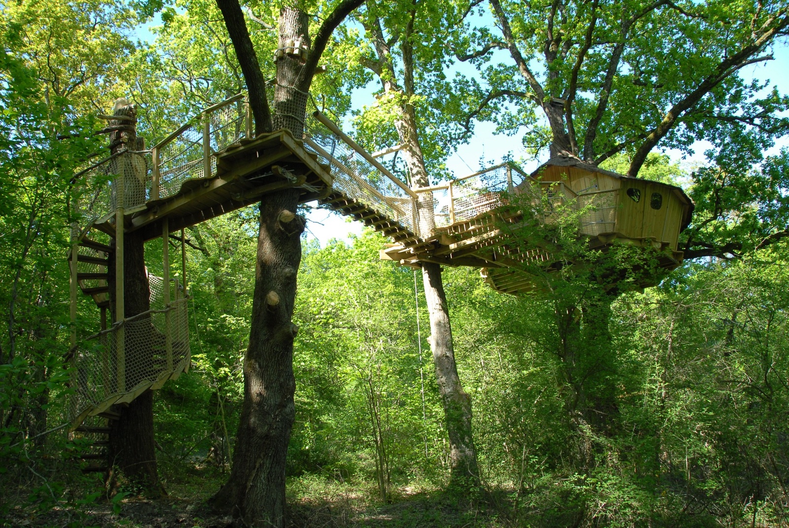 tree%20house%20for%204%20(2).jpg