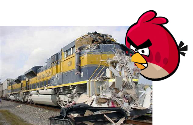 Bird-v-Train.jpg