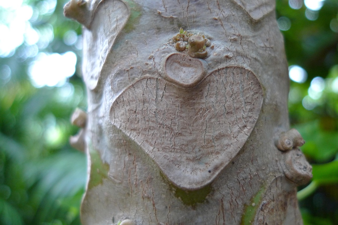 heart-971795_1280.jpg