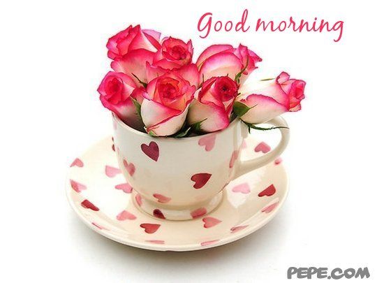 ab5f55b2bc94441eb507873bce31cc95.jpg