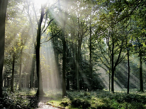 2852663843_08e6346d9e.jpg