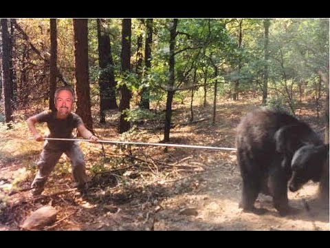 hqdefault.jpg