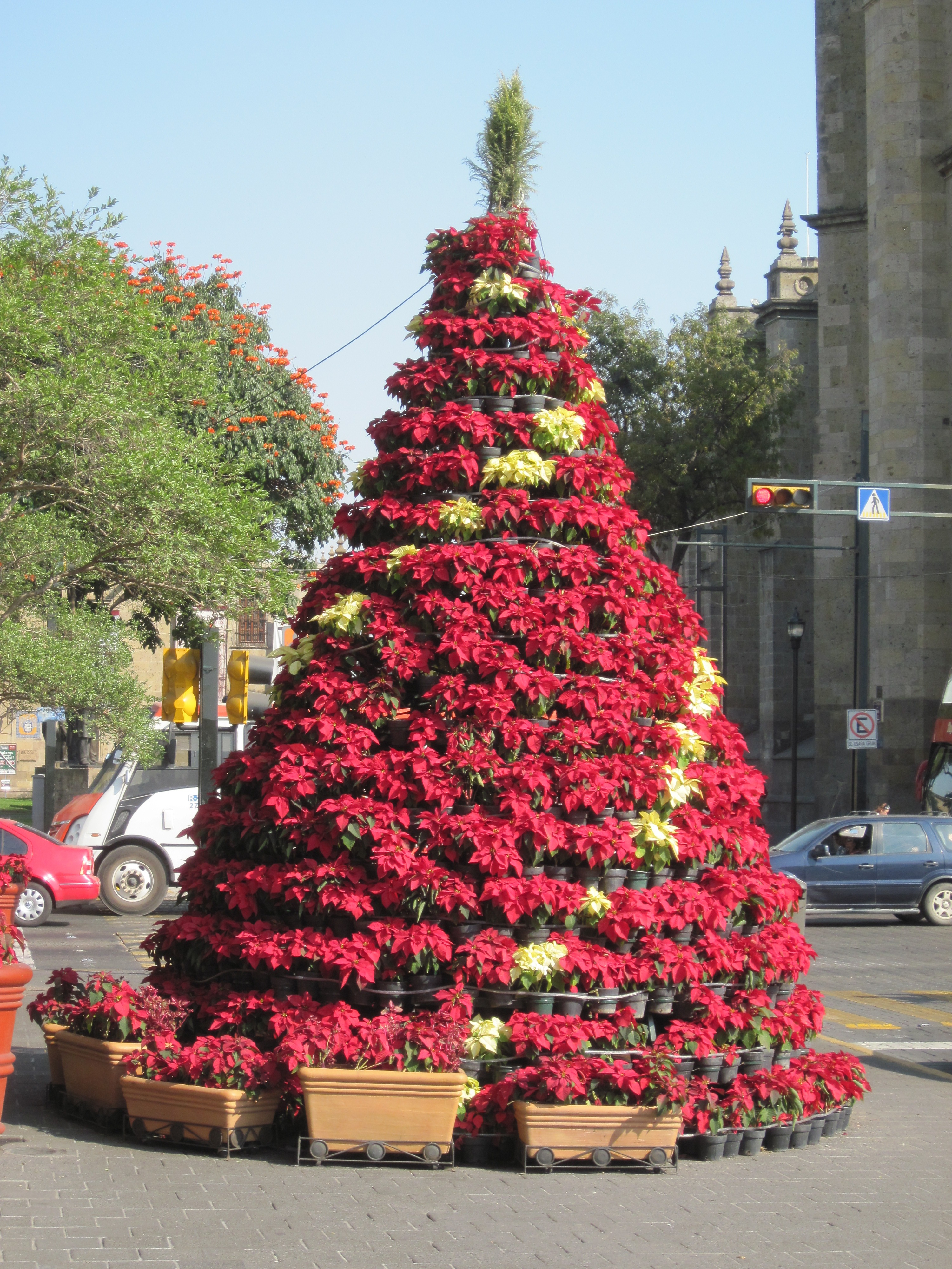 guadalajara-23-dec-10-118.jpg