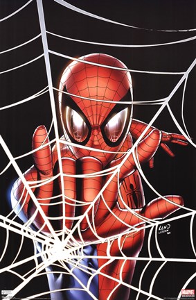 spiderman-web.jpg