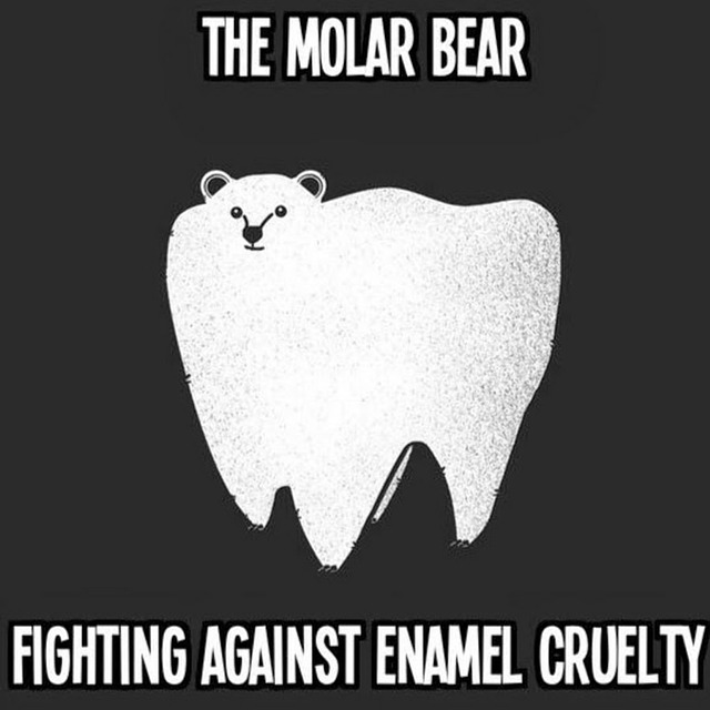 toon_molar-bear.jpg