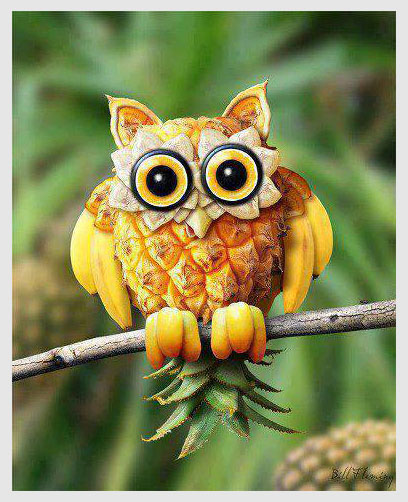 maggie-pineapple-owl-1.jpg