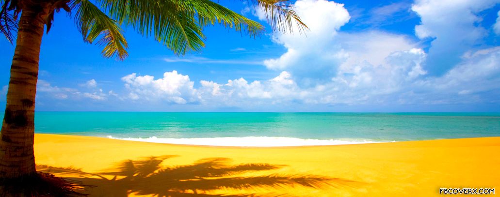 beach.jpg