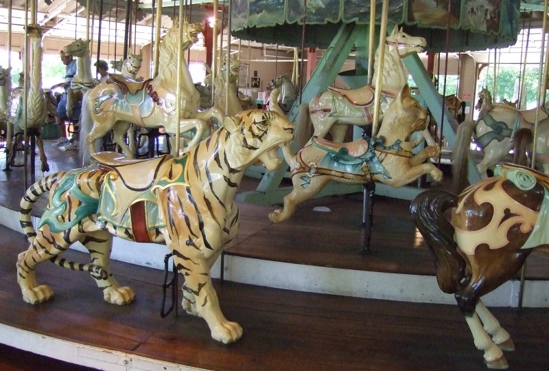 carousellioncat.jpg