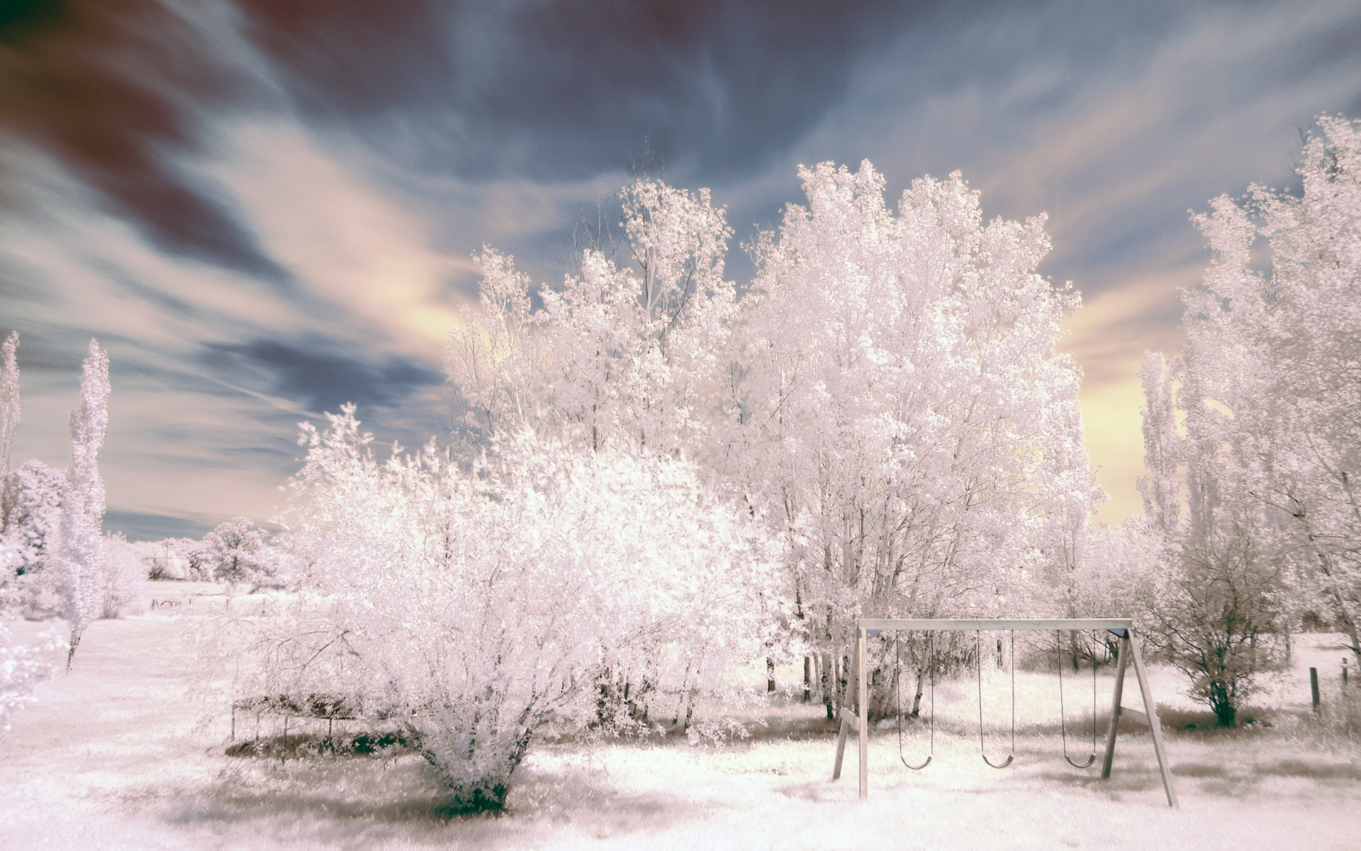winter-day-in-park-wallpaper_1920x1200_87792.jpg