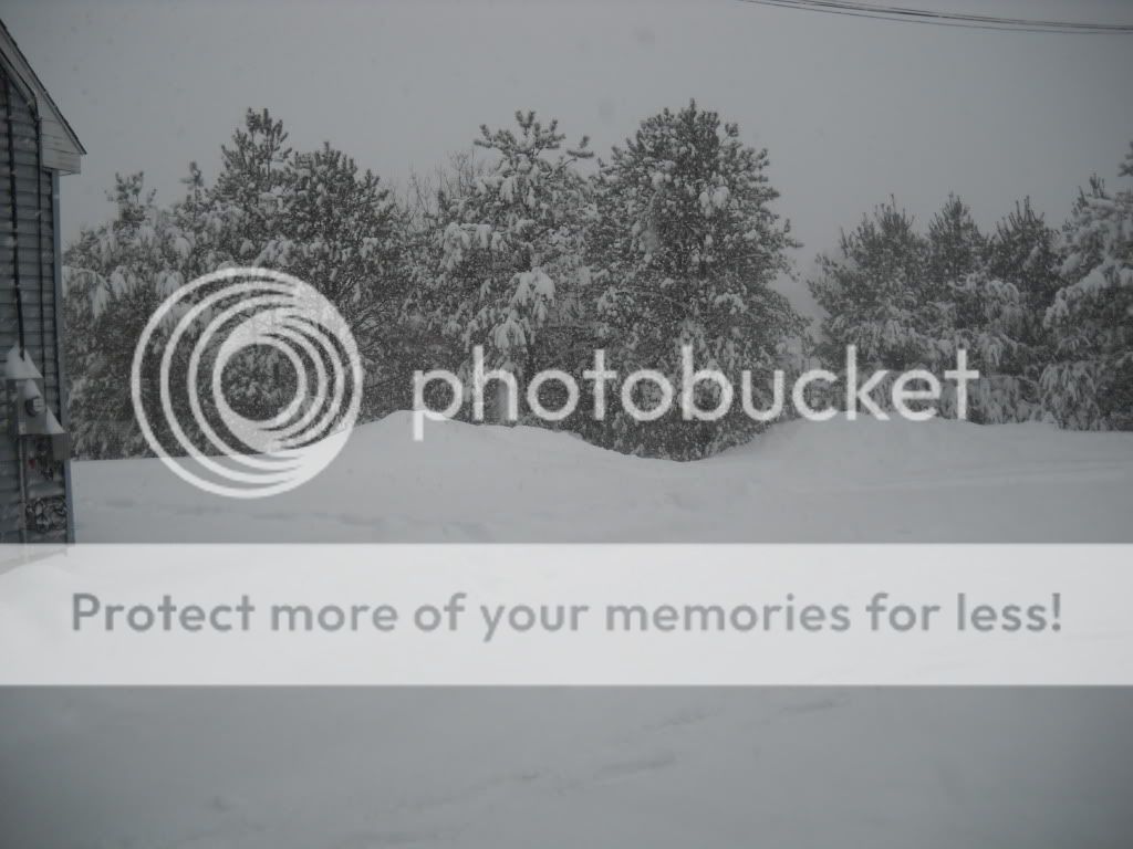 snow3023.jpg