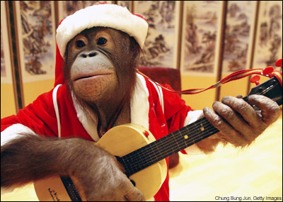 christmas-monkey-obvi-drunk.jpg