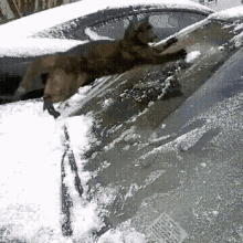 slipping-on-ice-driving-in-snow.gif