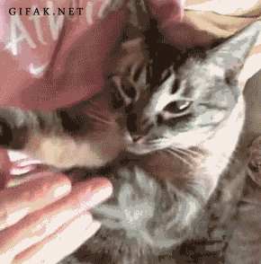 6YvyJrq.gif