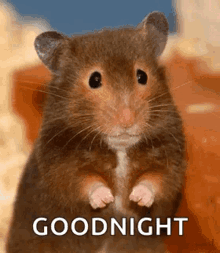 mouse-wiggle.gif