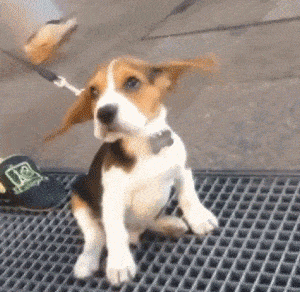 292a50994d357e1884373ee8bf362562.gif