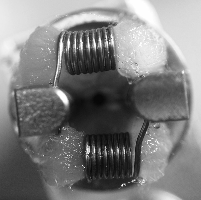 18652123133_45b6d5754d_z.jpg
