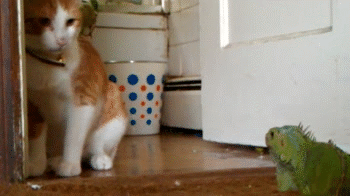 just-hold-it-right-there