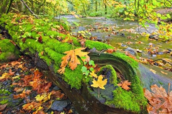 fall-river-picture_41608.jpg