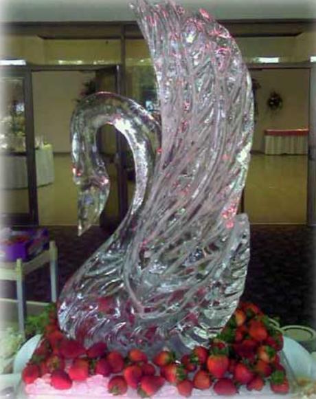 ice_swan_12.JPG