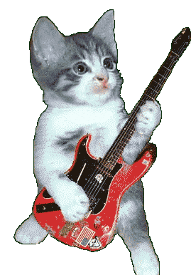 giphy.gif