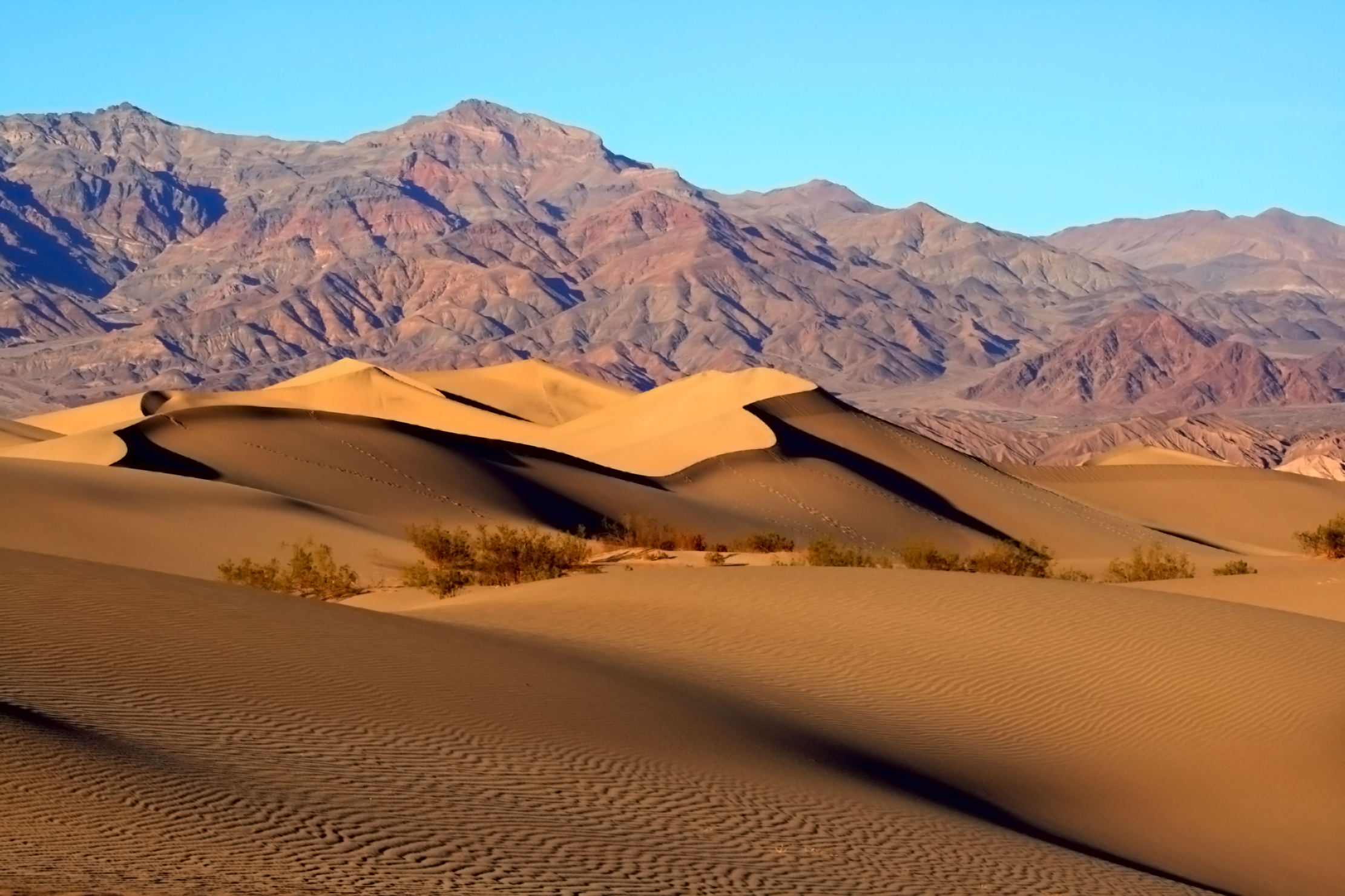 Mesquite_Sand_Dunes_in_Death_Valley.jpg