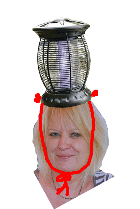bugzapperhat.gif